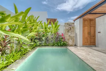 Courtyard pool beside dense tropical planting and a timber door.