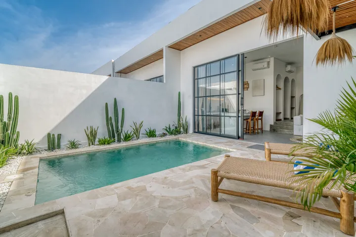 Courtyard pool framed by pale walls, timber roof slats and green planting.