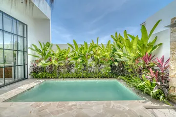 Courtyard with pool, leafy planting, stone paving and a built-in arched bench.