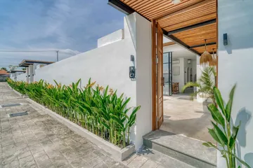 Paved walkway beside a white wall and tall plants leading to a wood entry door.