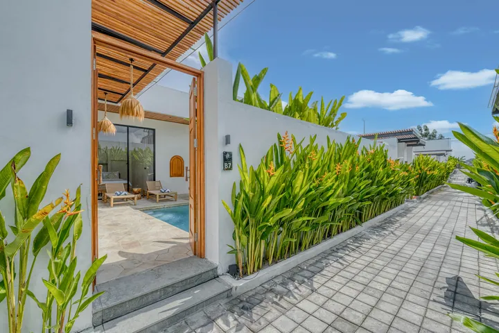 Paved walkway bordered by tall tropical plants and white villa walls.