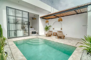 Courtyard pool with cactus planting, loungers and black-framed glass doors under a timber pergola.