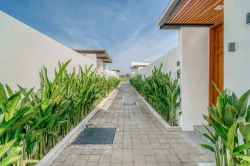 Paved walkway bordered by leafy planting and white villa walls, with a timber doorway to one side.