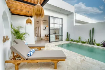 Courtyard pool framed by pale walls, timber roof slats and green planting.