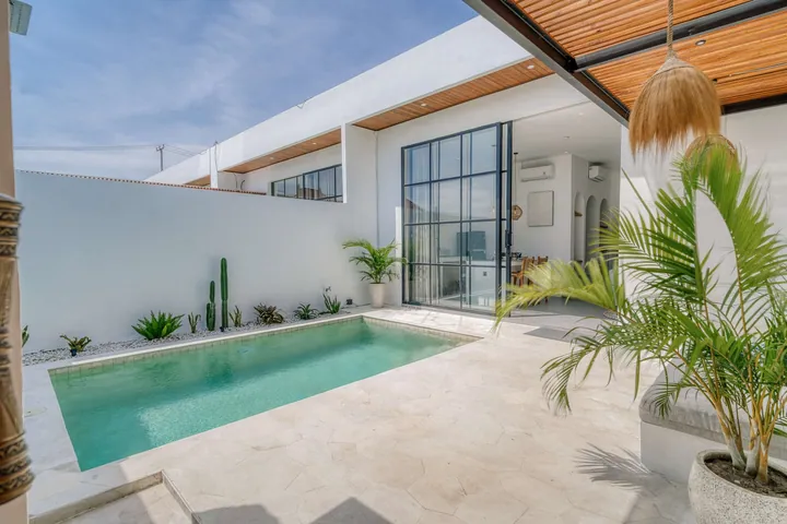 A courtyard pool beside white walls, a timber roof and leafy planting.
