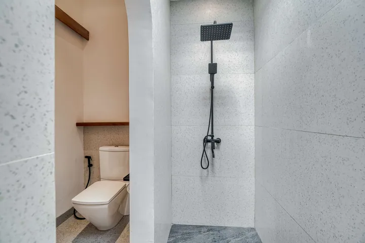 Walk-in shower with a rain-style showerhead beside a wall-hung toilet.
