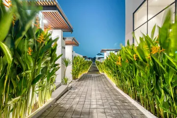 Paved path between tall plants and white walls leading toward the villa.