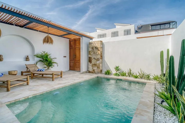 Courtyard pool framed by pale walls, timber roof slats and green planting.