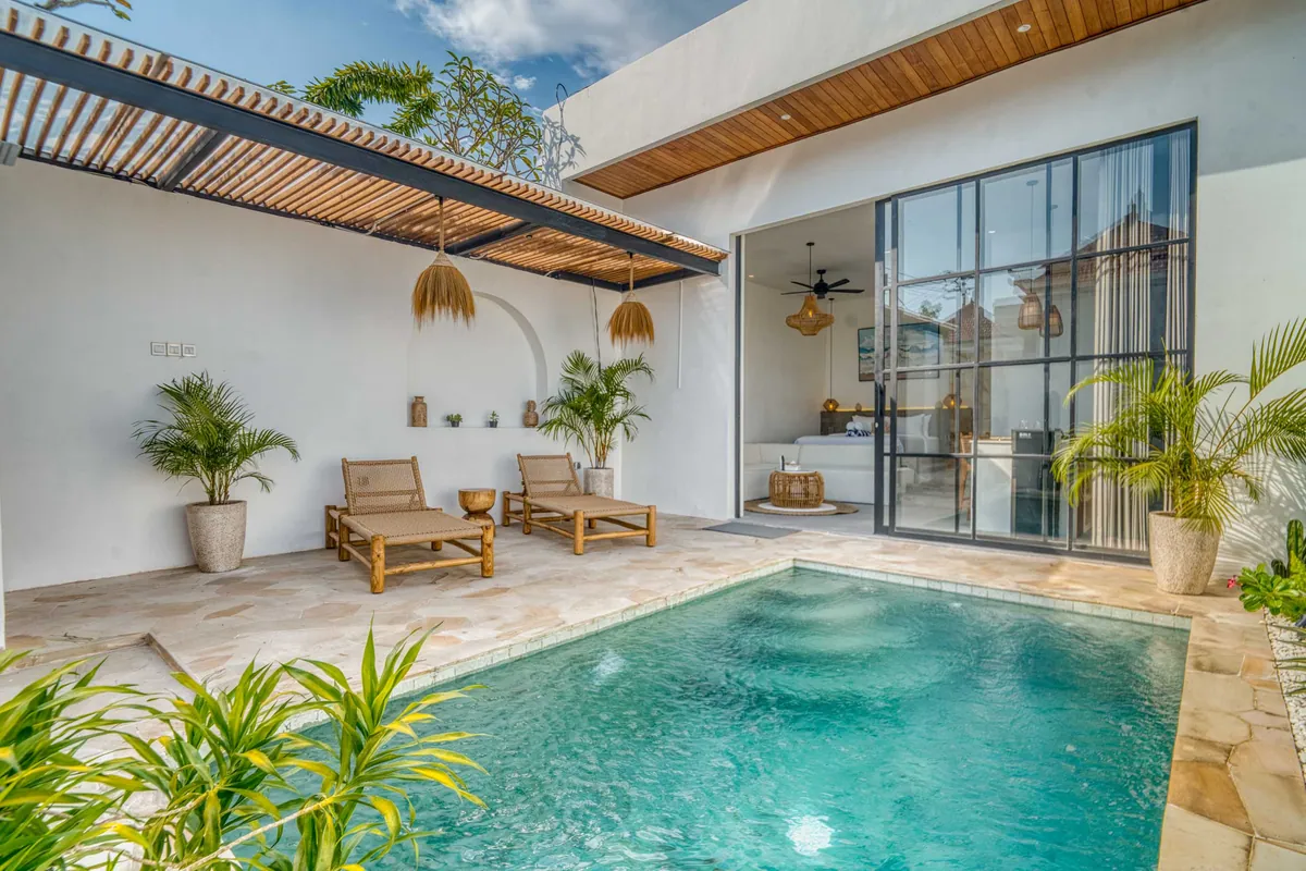 Courtyard pool framed by pale walls, timber roof slats and green planting.