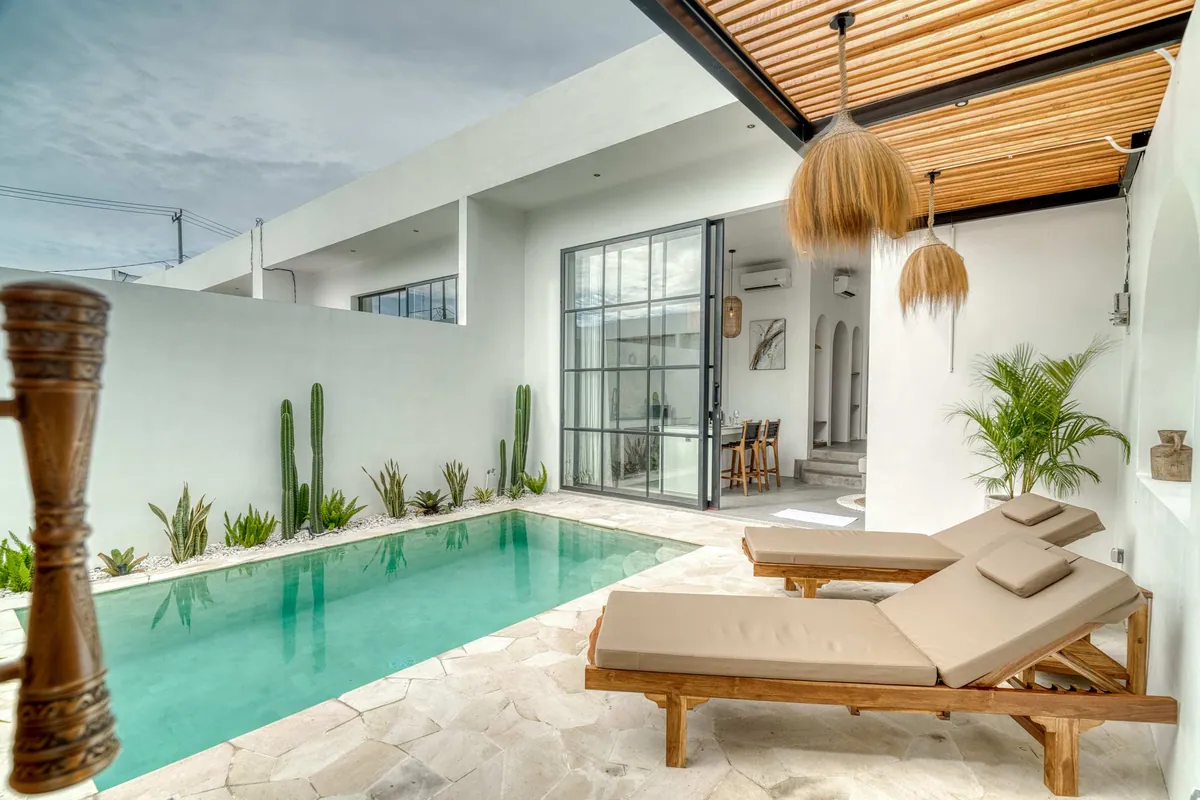 Courtyard pool framed by pale walls, timber roof slats and green planting.