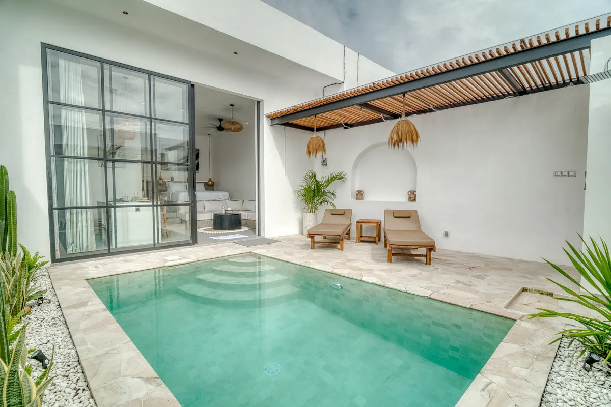 Courtyard pool with cactus planting, loungers and black-framed glass doors under a timber pergola.